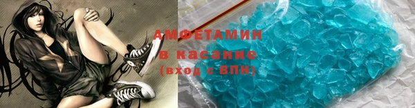 индика Надым
