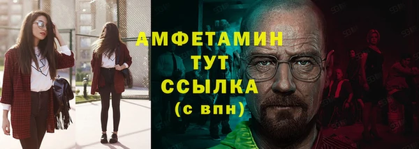 индика Надым