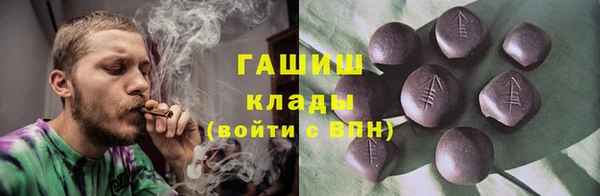 индика Надым