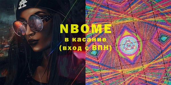 индика Надым
