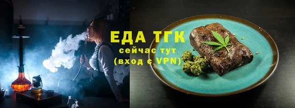индика Надым