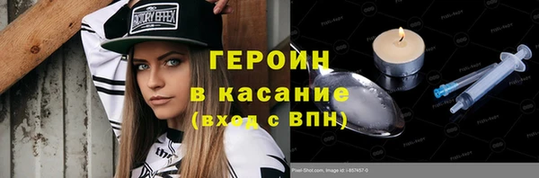 индика Надым