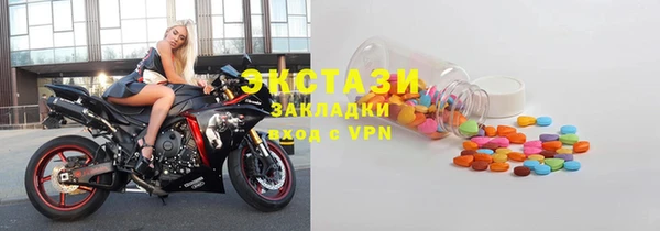 индика Надым