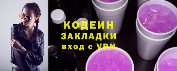 индика Надым