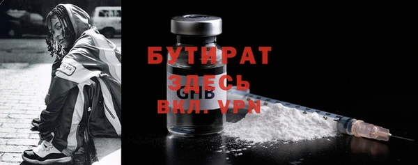 индика Надым