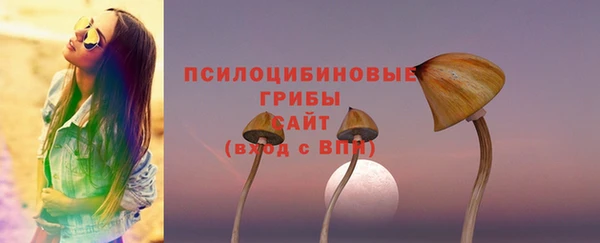 эйфоретик Вуктыл