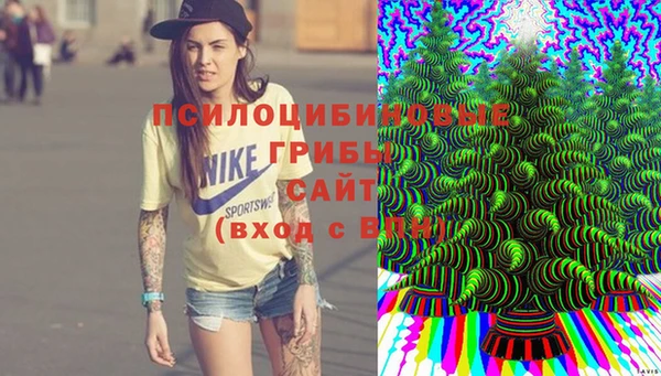 индика Надым