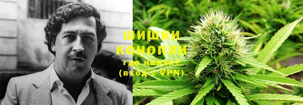 индика Надым