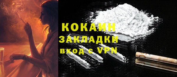 индика Надым
