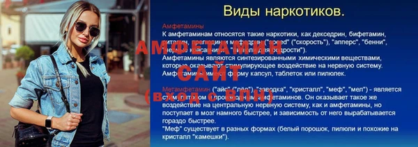индика Надым