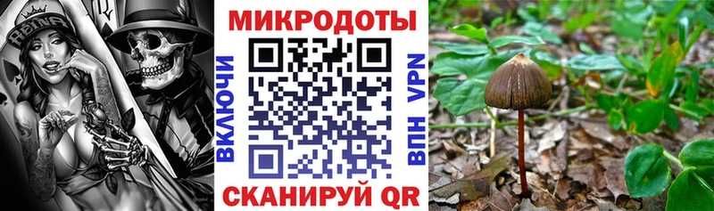 Псилоцибиновые грибы ЛСД  Покров 